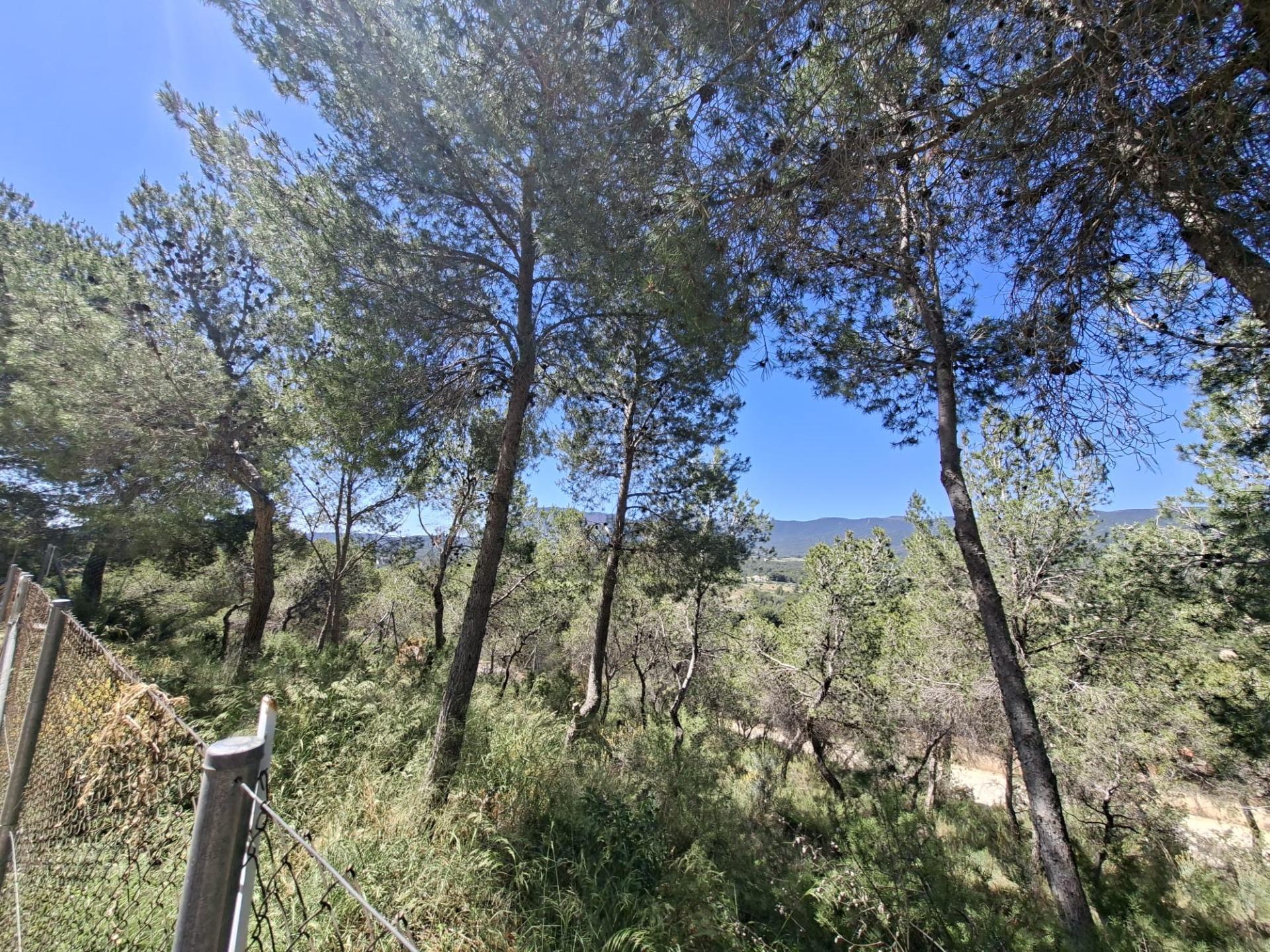 L'Alcoià